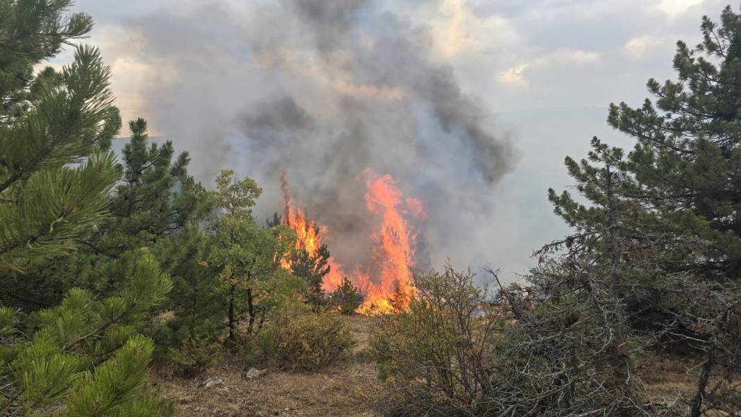 Konya Derbent’te orman yangını çıktı 9